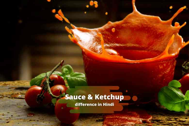 Sauce and Ketchup difference in Hindi