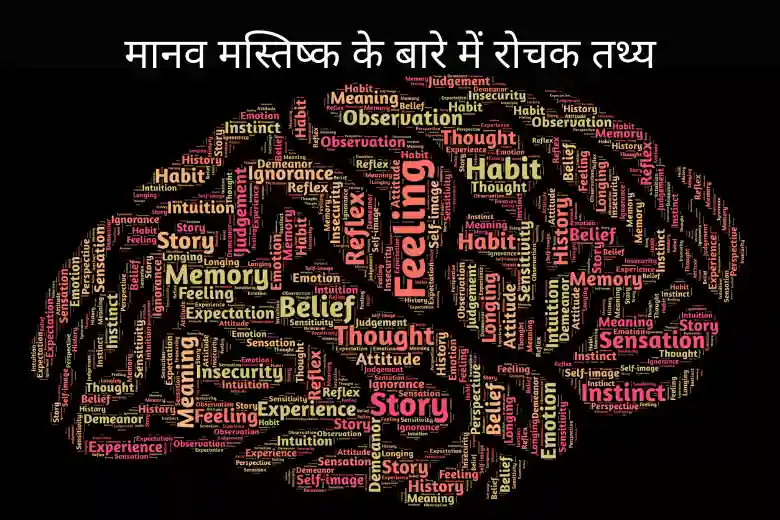 Interest & Amazing Facts about Human Brain In Hindi