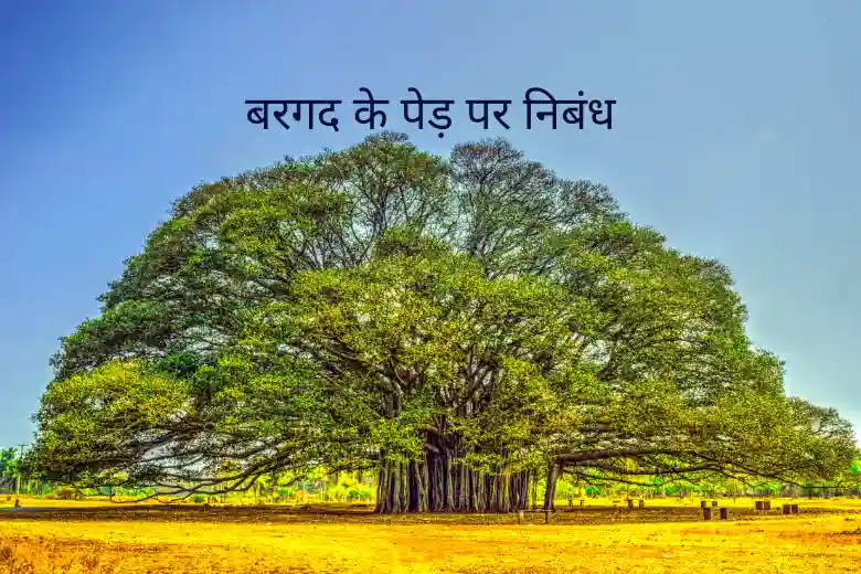 How To Say Banyan Tree In Hindi